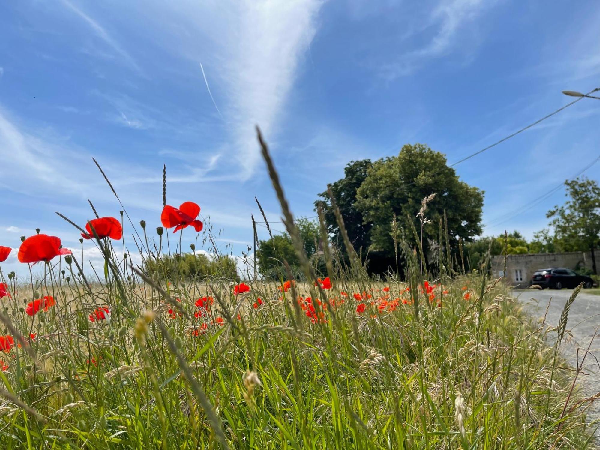 Bed and Breakfast Logis Saint Léonard Dompierre-sur-Mer Exterior foto
